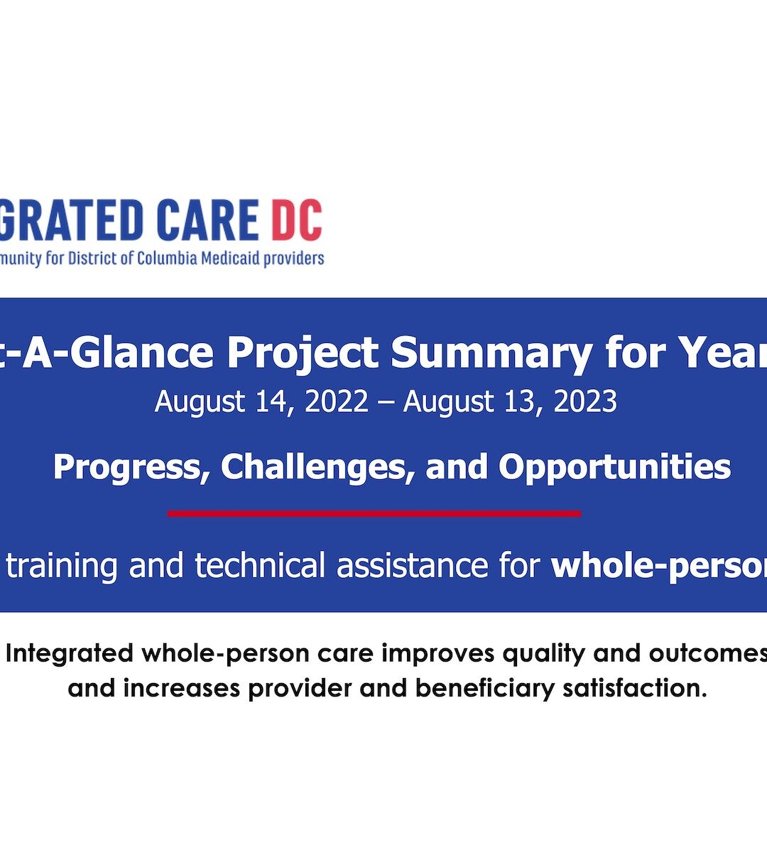 At-A-Glance Project Summary for Year 3